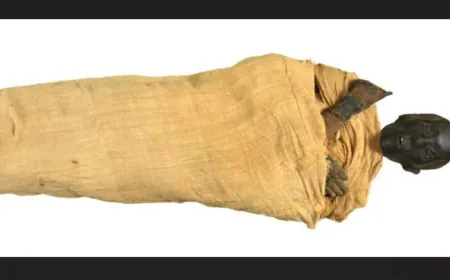 Egypt announces discovery of the lost tomb of King Thutmose II
