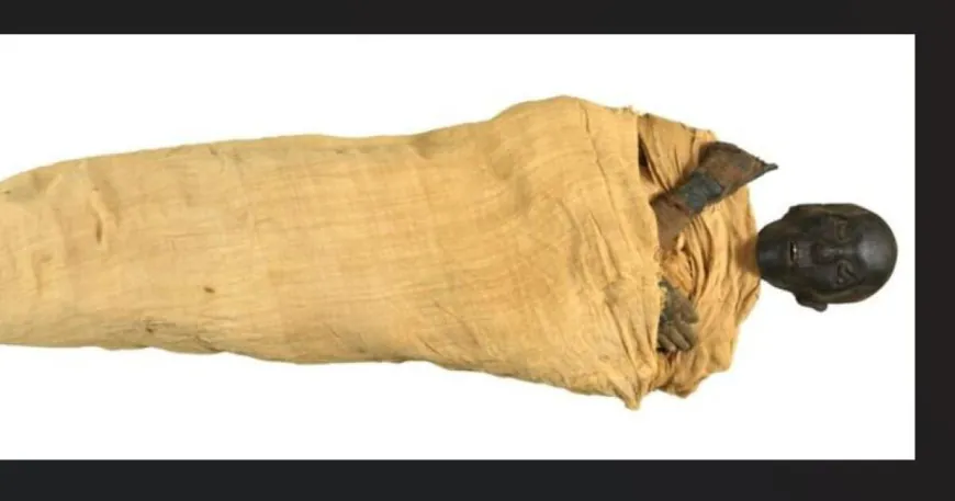 Egypt announces discovery of the lost tomb of King Thutmose II