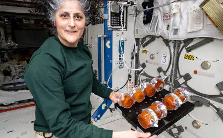NASA Continues BioNutrients Space-Fermented Food Research