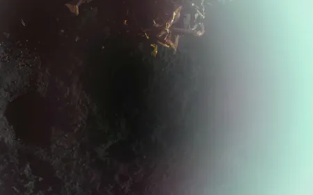 Touchdown! Carrying NASA Science, Firefly’s Blue Ghost Lands on Moon