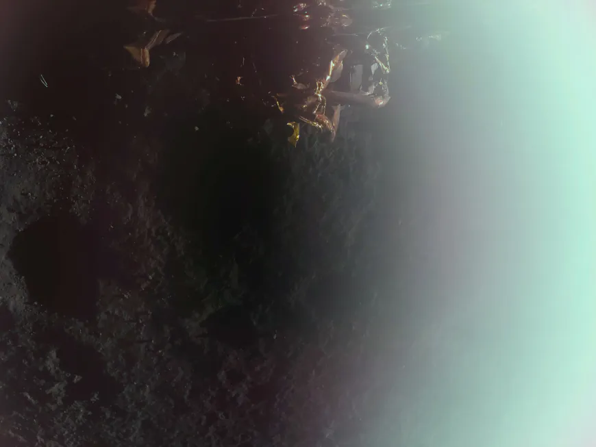 Touchdown! Carrying NASA Science, Firefly’s Blue Ghost Lands on Moon