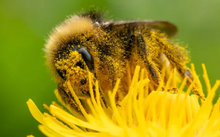 Welcome to the Worst Allergy Season Ever