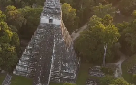 Ancient altar found in jungle apparently used for child sacrifices