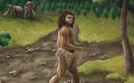 Ancient jawbone found in sea linked to mysterious human ancestors