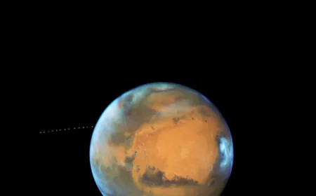 NASA’s Perseverance Rover Finds Strange Rocks on Mars