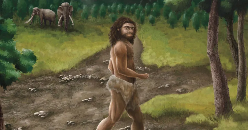 Ancient jawbone found in sea linked to mysterious human ancestors