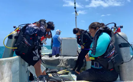 How Mexico’s Fishing Refuges Are Fighting Back Against Poaching