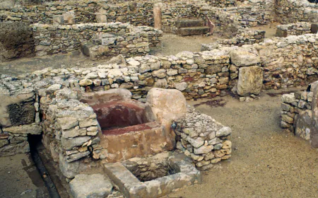 Who Founded Carthage? New Genetic Study Upturns Old View