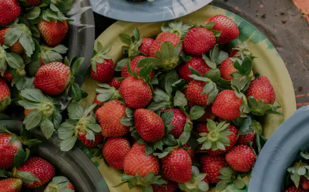 Strawberries Aren’t Ripe for Africa? His Farms Disprove That, Deliciously.