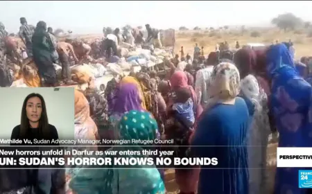 War in Sudan: 'People are having to eat charcoal or boiled leaves to survive'
