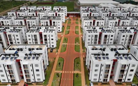 Kenya's Tatu City: A private urban oasis sparks controversy