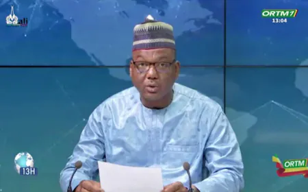 Mali's military junta suspends political parties' activities 'until further notice'