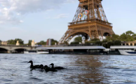 ????The Bright Side: Swimming in the Seine to become reality for Parisians