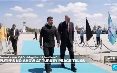 Uncertainty in Turkey over Ukraine peace talks