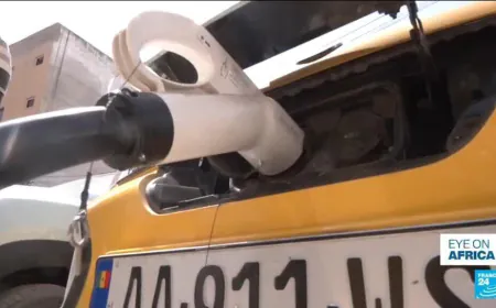 Senegal embraces electric cars to fight pollution in Dakar