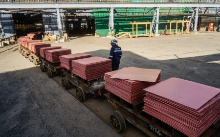 U.A.E. Is Pouring Money Into Africa, Seeking Resources and Power