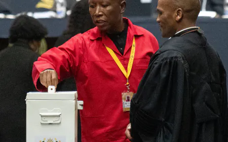 Who Is Julius Malema, the South African Politician in the White House Video?
