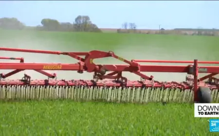 Chemical-free farming brings life back to rural France