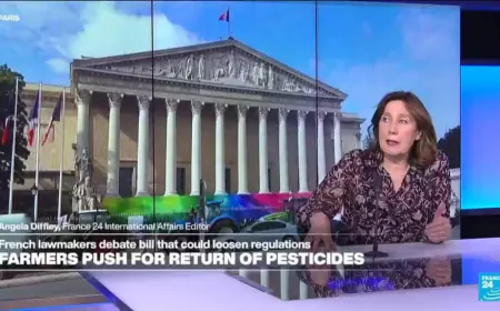 French farmers push for risky pesticide re-introduction