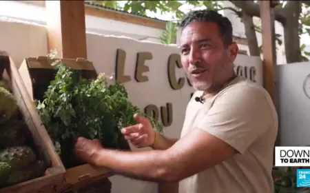 In Guadeloupe, local pesticide-free farming restores trust in food