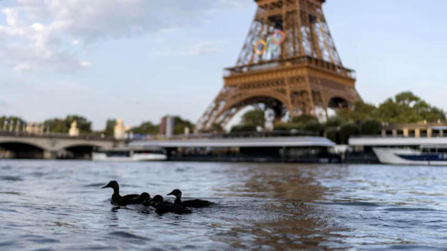 ????The Bright Side: Swimming in the Seine to become reality for Parisians