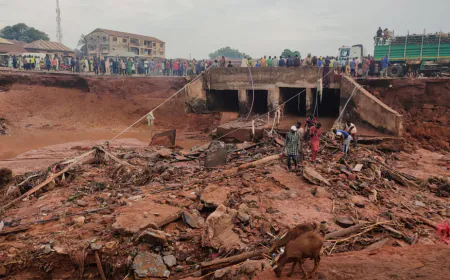 Nigeria flooding death toll jumps past 200, many more feared missed