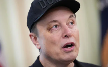 Musk calls Trump mega-bill 'disgusting abomination'