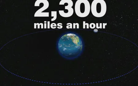 By The Numbers: The moon