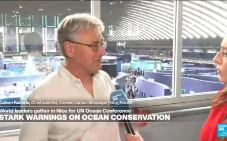 UN Ocean Conference in Nice: Stark warnings on ocean conservation