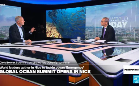 Saving the ocean: 'We have to be optimistic because it's our only planet,' scientist says