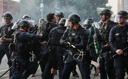 3 Lessons From International Protests Amid the L.A. Unrest