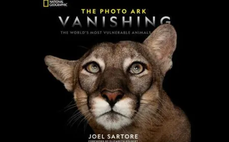 A wake-up call on saving endangered species