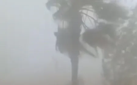 Morocco: Rare sandstorm sweeps across Rabat and Salé