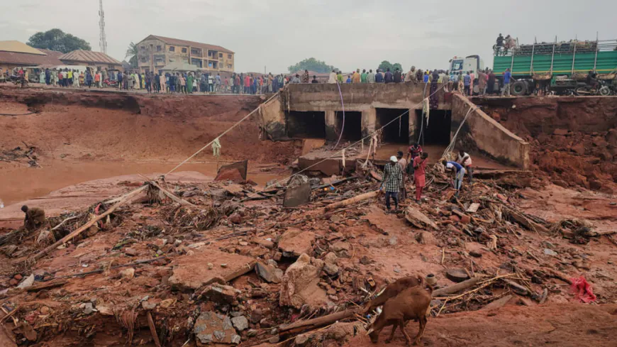 Nigeria flooding death toll jumps past 200, many more feared missed