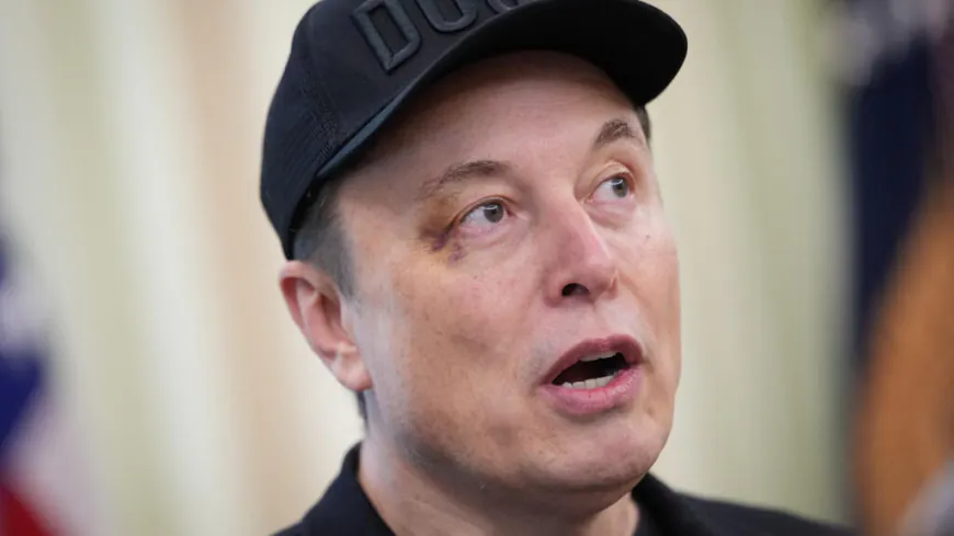 Musk calls Trump mega-bill 'disgusting abomination'