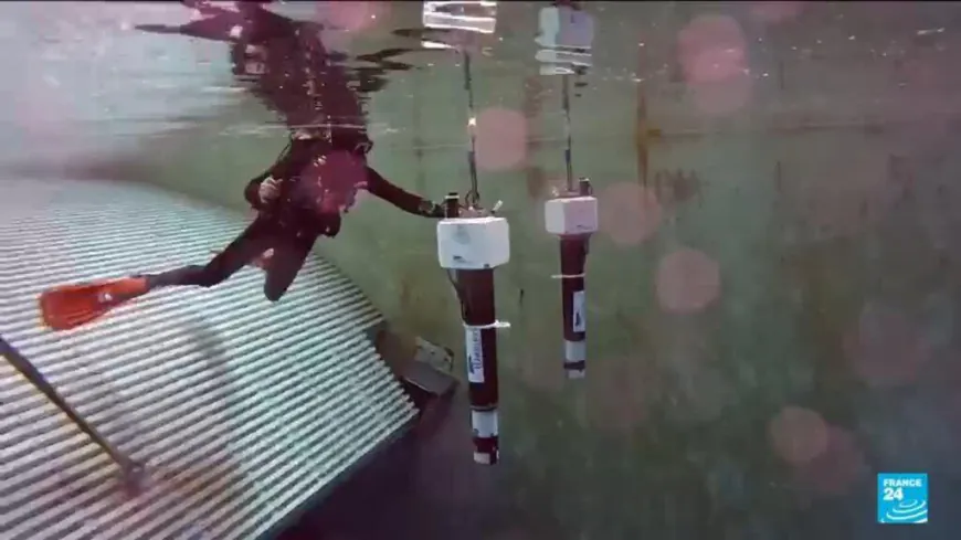 Exploring France’s cutting-edge ocean research ahead of the UN conference