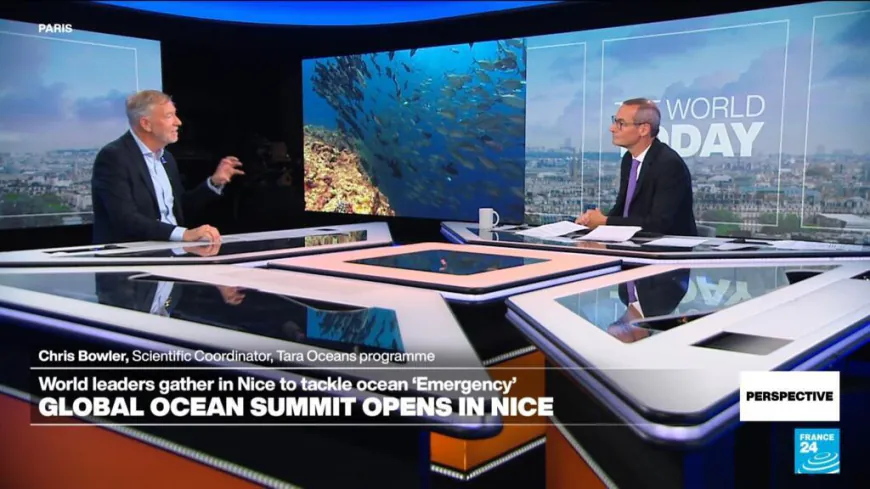 Saving the ocean: 'We have to be optimistic because it's our only planet,' scientist says