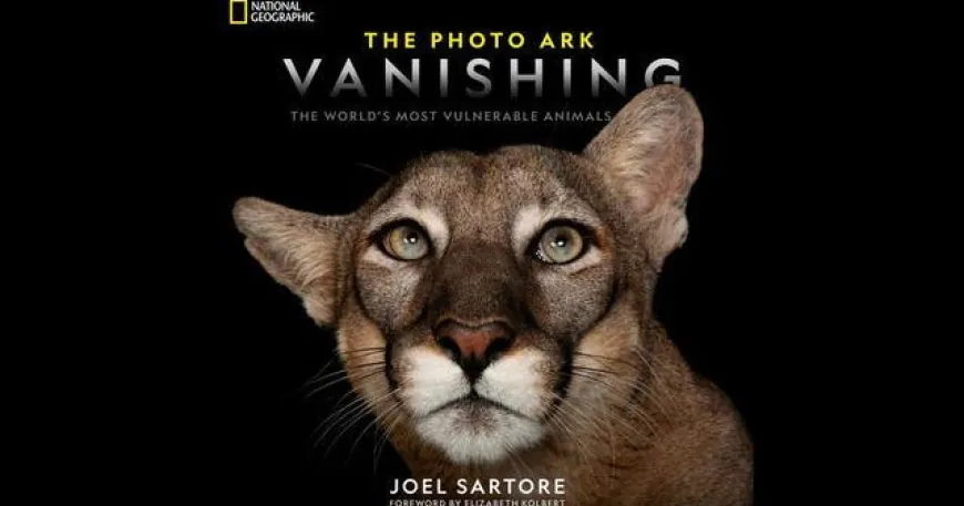 A wake-up call on saving endangered species