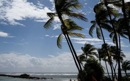 French scientists discover new blood type in Guadeloupe woman