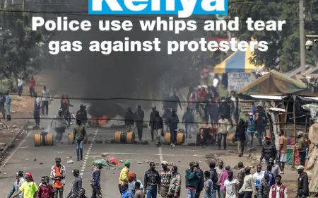 Kenya: Police use whips and tear gas against protesters