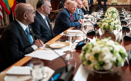 Trump Discusses Economic Investment With African Leaders at White House Meeting