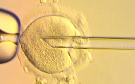 8 babies born with DNA from 3 people in world-first IVF trial