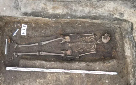 Skeleton of medieval knight found under former ice cream parlor