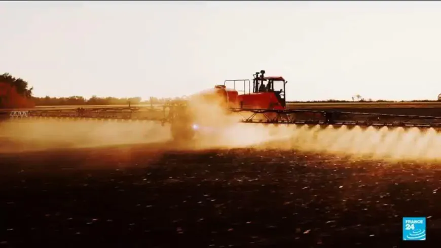 Public outcry in France over return of banned insecticide