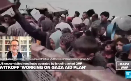 US envoy visits aid site in Gaza: 'This was a public relations visit', analyst says