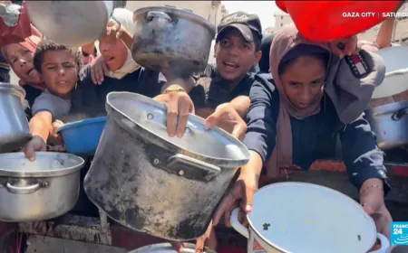 'Far too late': Palestinian despair mounts after UN declaration of famine in Gaza