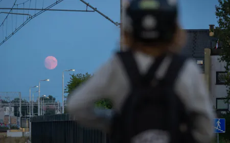 Perseids meteor shower will peak this week. But will the moon ruin views?