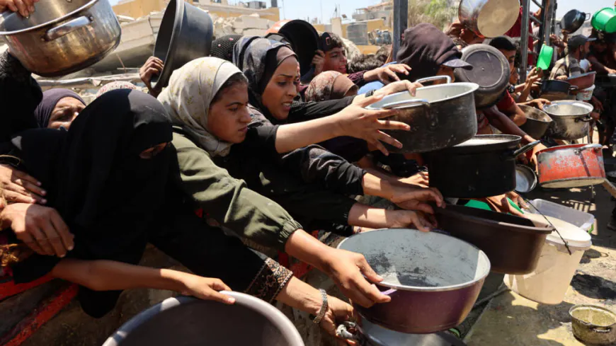 Amount of aid entering Gaza is 'very insufficient', Germany says
