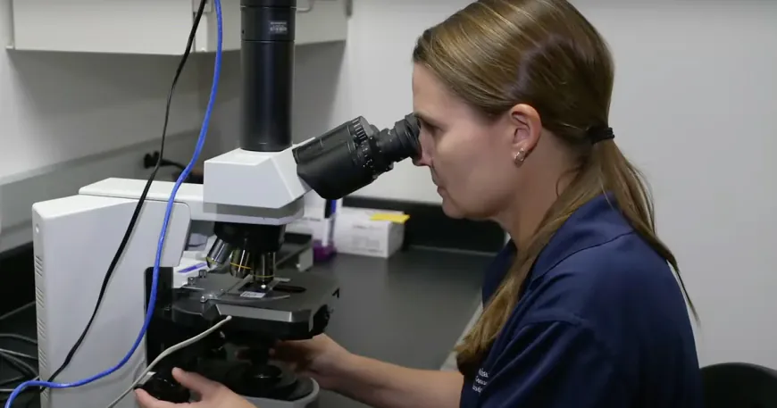 U.S. scientists work to preserve vulnerable species at a Smithsonian lab