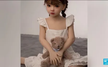 French fraud watchdog reports Shein for 'childlike' sex dolls